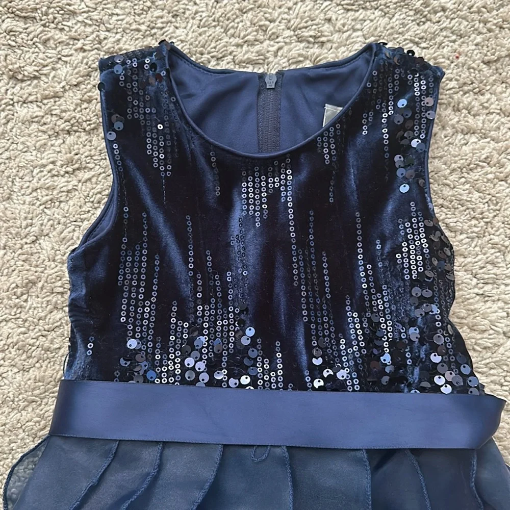 4T Rare Editions special occasion dress - Picture 2 of 5